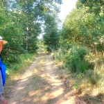 Bosque del burro