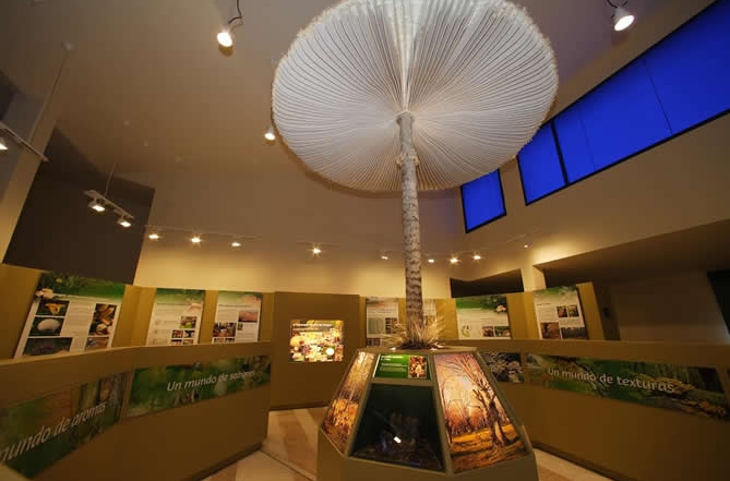 Centro de interpretación de la Micología